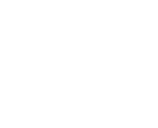 New York City icon